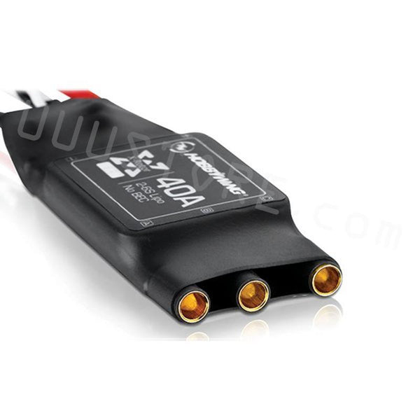 Hobbywing XRotor 40A ESC - 1/2/4/6pcs  APAC Brushless ESC 2-6S For Believer UAV 1960mm RC mapping platform